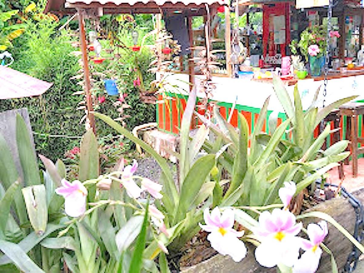 Hostal Estrella De Agua Salento Buitenkant foto
