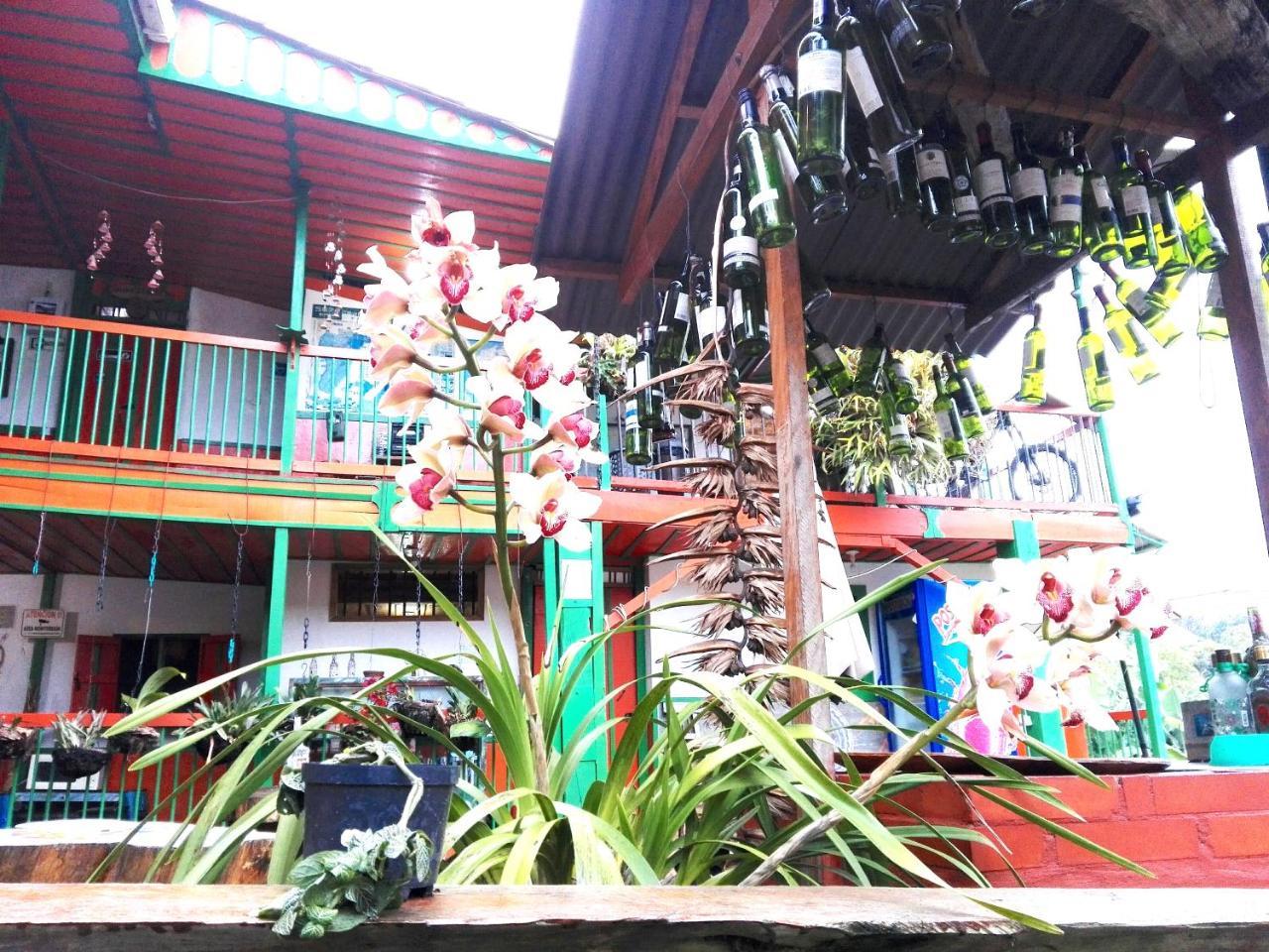 Hostal Estrella De Agua Salento Buitenkant foto